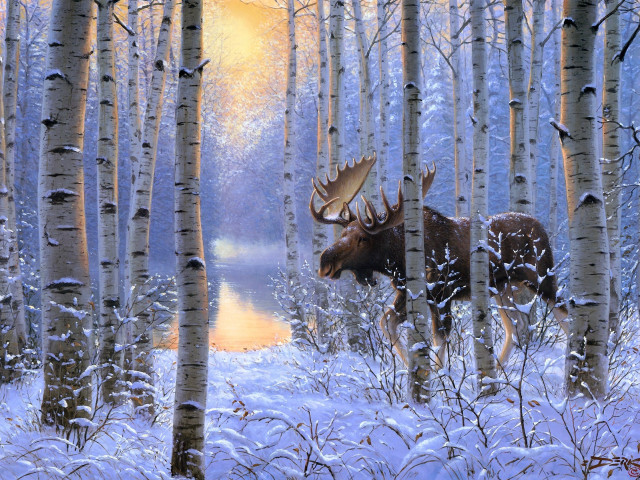 Moose snowy forest trees water free wallpaper - medium preview image