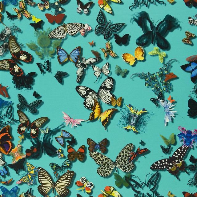 Butterflies blue background white border free wallpaper - medium preview image