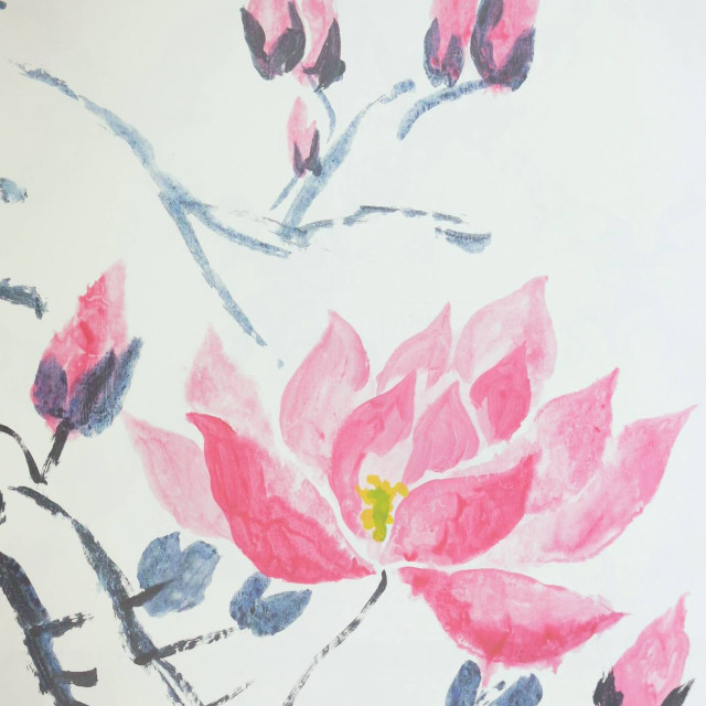 Pink flower white background blue free wallpaper - medium preview image