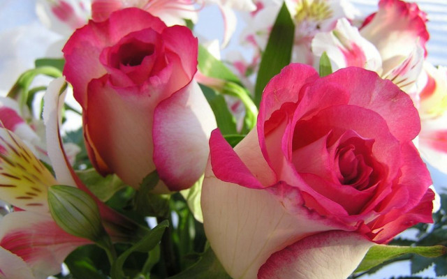 Bouquet pink roses vase table free wallpaper - medium preview image