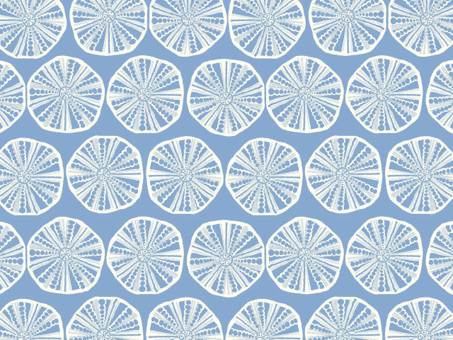 Blue white pattern circles design free wallpaper - medium preview image