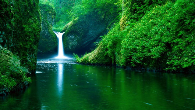 River waterfall forest trees green free wallpaper - medium preview image