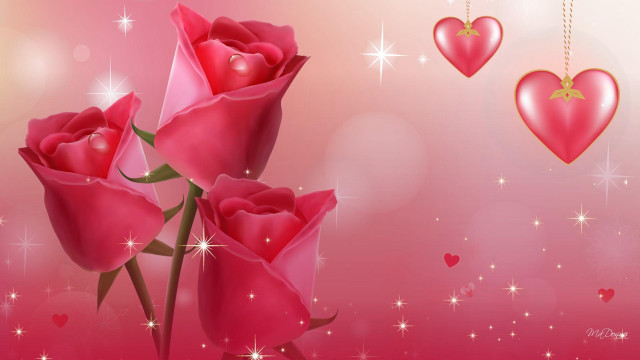 Pink background three roses hearts free wallpaper - medium preview image