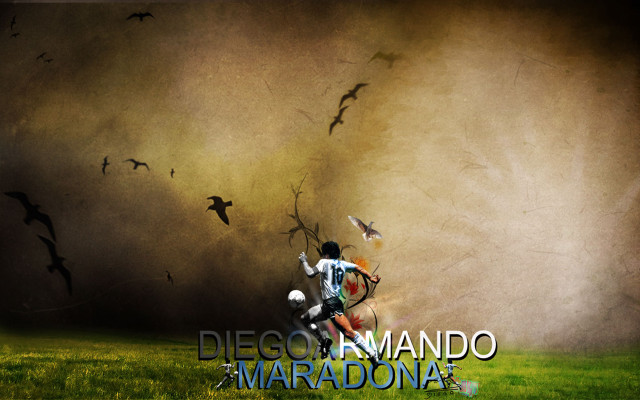 Man running field bats diego free wallpaper - medium preview image