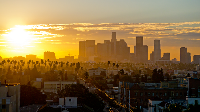 City skyline sunset palm trees free wallpaper - medium preview image