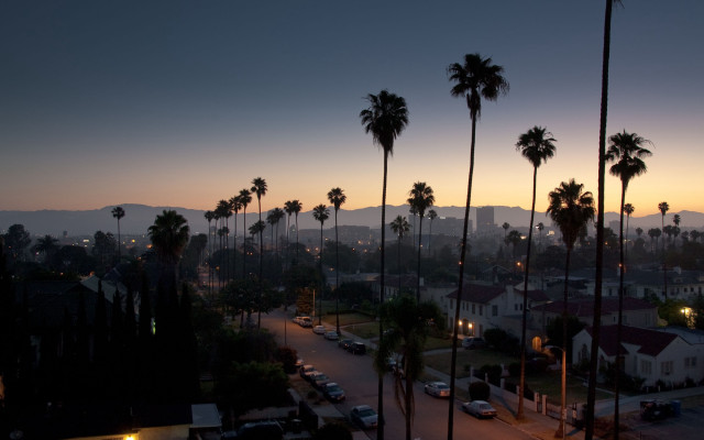 City street palm trees sunset free wallpaper - medium preview image