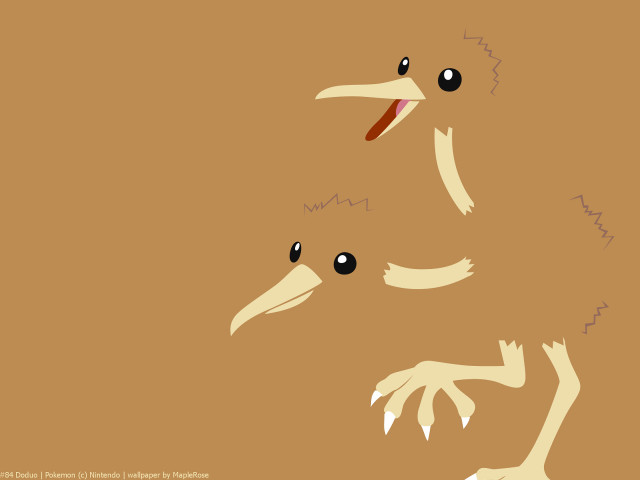 Bird two eyes long beak free wallpaper - medium preview image