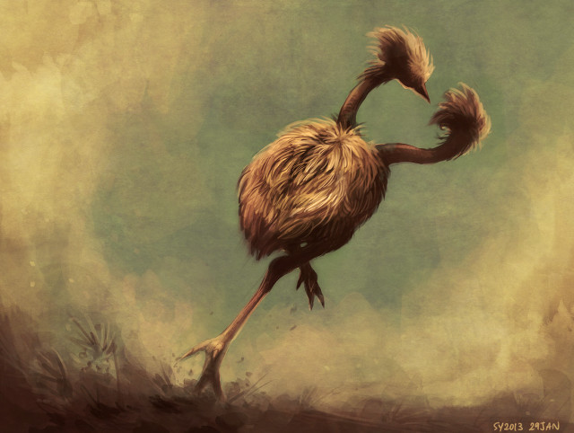 Long necked bird standing outdoors free wallpaper - medium preview image