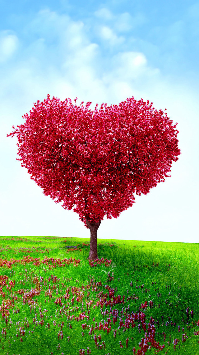 Heart tree flower field sunny free wallpaper - medium preview image