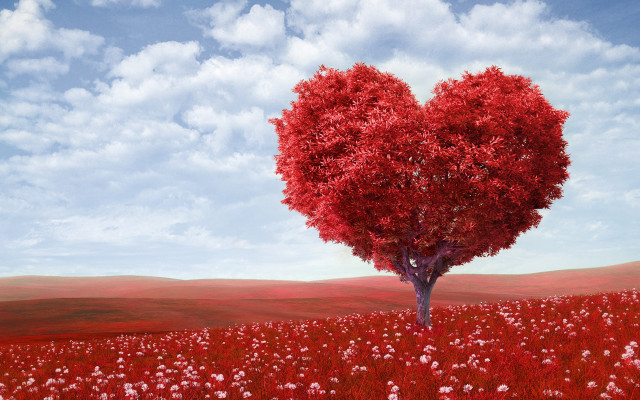 Heart shaped tree field of free wallpaper - medium preview image