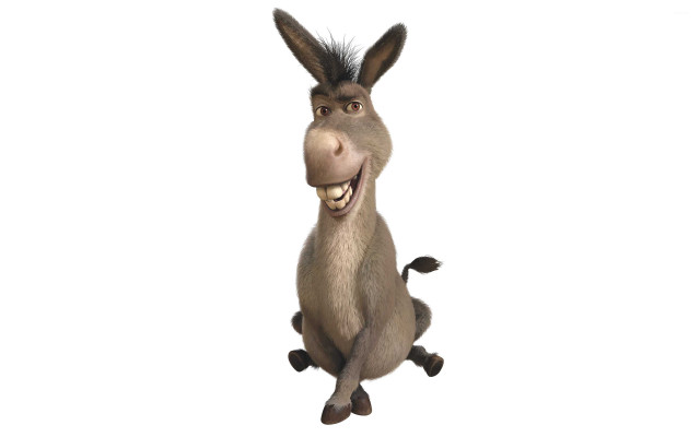 Donkey big smile happy legs free wallpaper - medium preview image