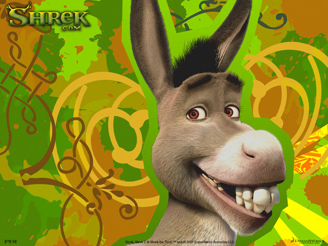 Donkey funny face green background free wallpaper - medium preview image