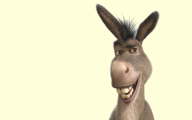 Donkey funny smile furry portrait free wallpaper - medium preview image