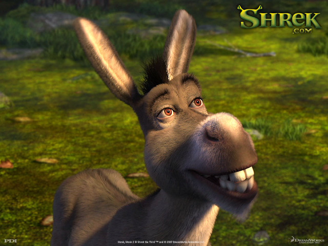 Donkey funny look mouth expression free wallpaper - medium preview image