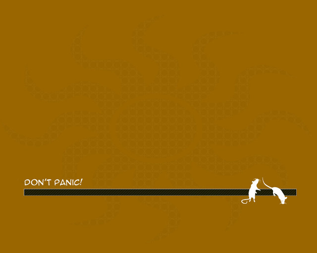 Dog walking long line caption free wallpaper - medium preview image
