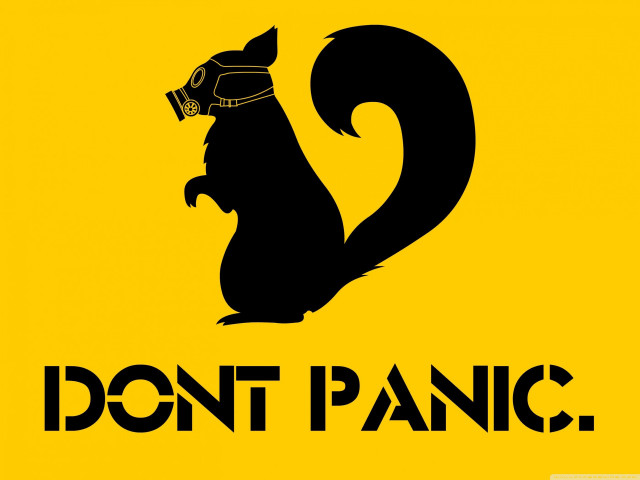 Black squirrel helmet dont panic free wallpaper - medium preview image