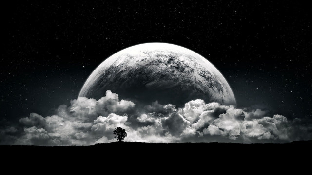 Black white tree clouds full free wallpaper - medium preview image