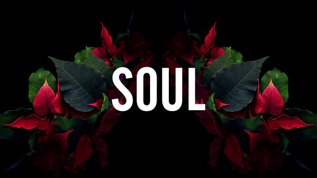 Black background red flower soul free wallpaper - medium preview image