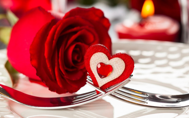 Red rose fork heart side free wallpaper - medium preview image