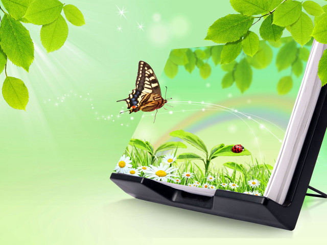 Butterfly flying green field flowers free wallpaper - medium preview image