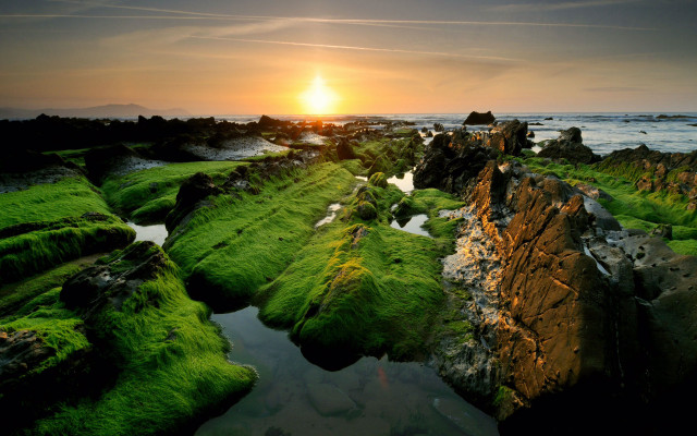Sunset rocky beach green algae #5 free wallpaper - medium preview image