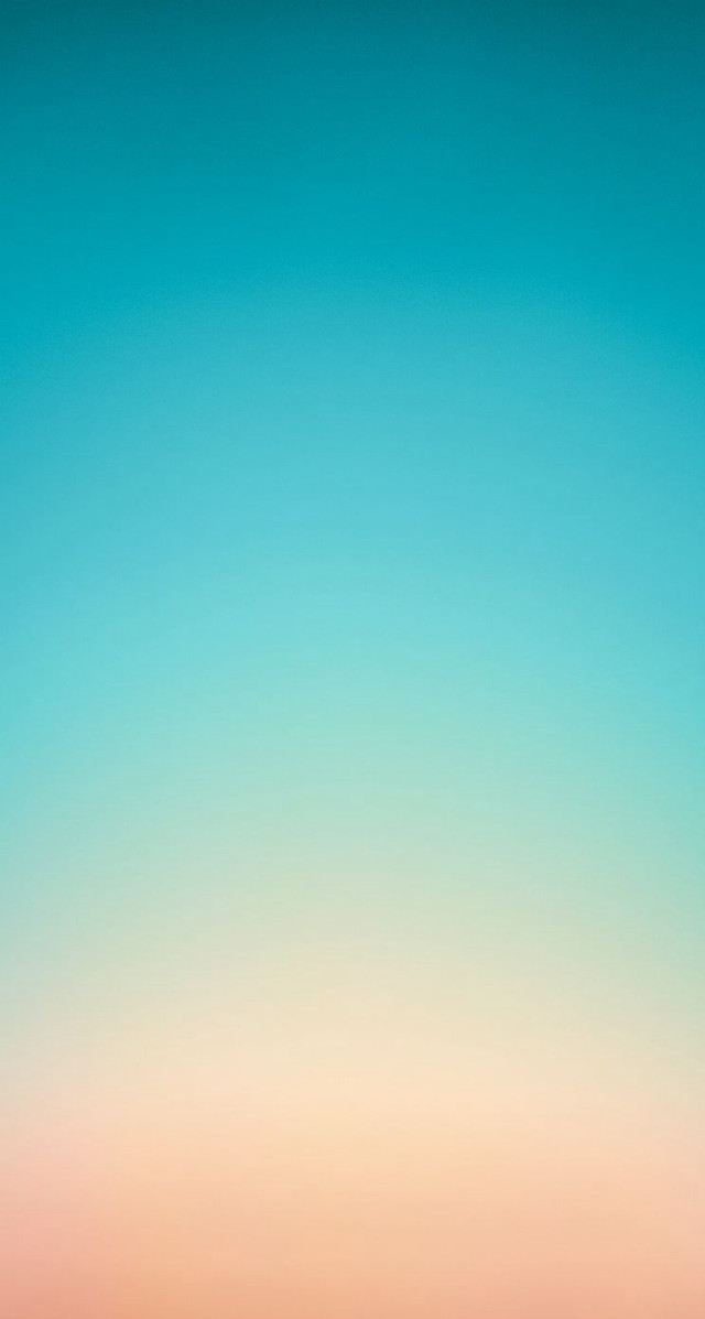 Sheep grass field forest trees #2 free wallpaper - medium preview image