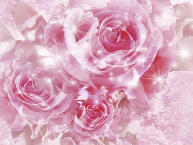 Pink background roses white background free wallpaper - medium preview image