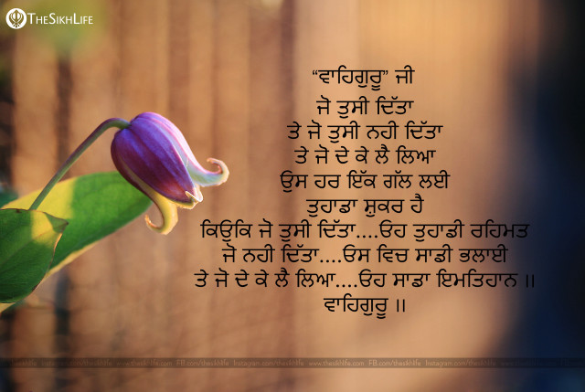 Flower quote foreign wooden bapu free wallpaper - medium preview image
