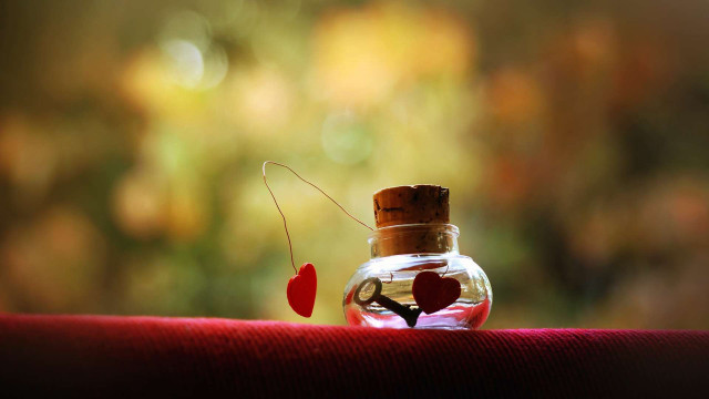 Bottle heart inside table red #2 free wallpaper - medium preview image