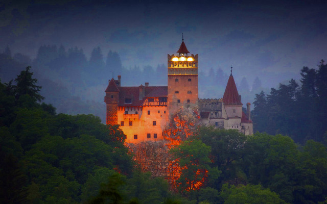 Castle clocktower night forest fog free wallpaper - medium preview image