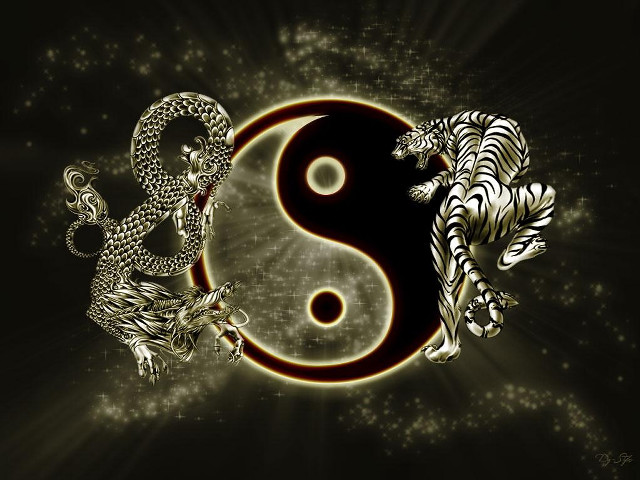 Tiger white tiger yin yang free wallpaper - medium preview image