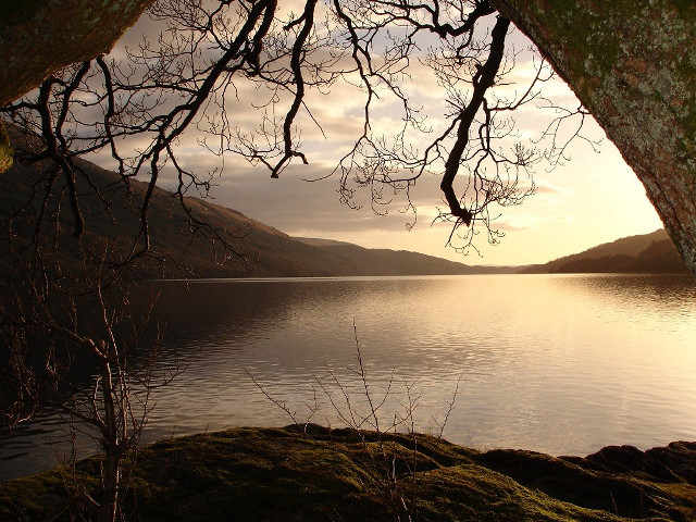 Tree branch mountain water sunset free wallpaper - medium preview image