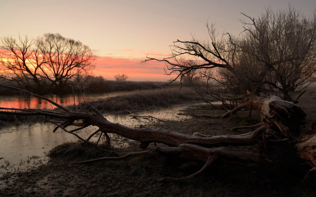 Fallen tree river sunset pink free wallpaper - medium preview image
