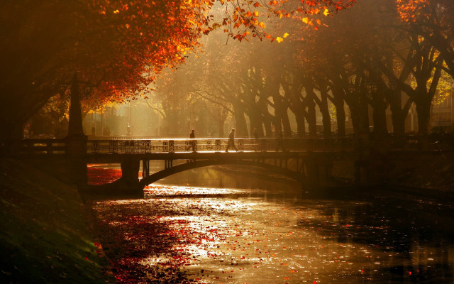 Bridge river person walking trees free wallpaper - medium preview image