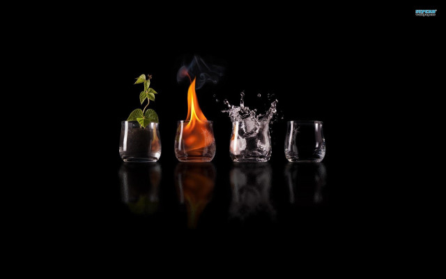 Glasses plant table black background #2 free wallpaper - medium preview image
