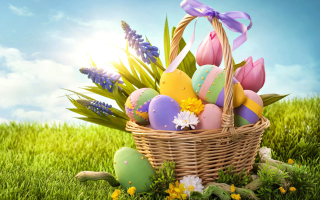 Basket filled eggs lush green free wallpaper - medium preview image