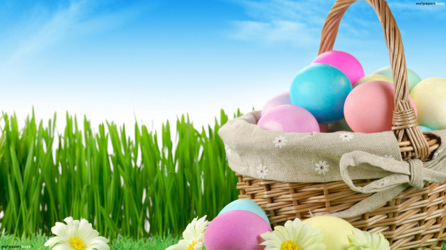 Basket colorful eggs grass flowers free wallpaper - medium preview image