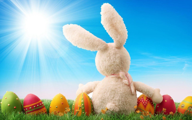 Stuffed rabbit grass eggs blue #2 free wallpaper - medium preview image