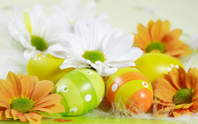 Eggs flowers tabletop feathers decoration free wallpaper - medium preview image