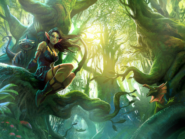 Woman sitting tree forest sunlight free wallpaper - medium preview image
