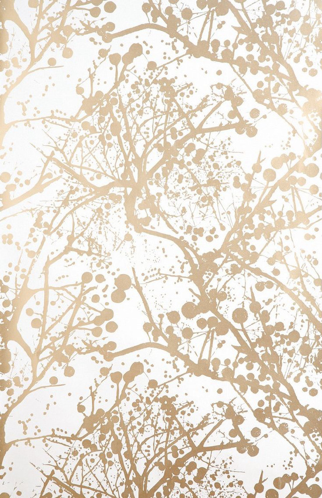 Tree leaves branches white sky free wallpaper - medium preview image