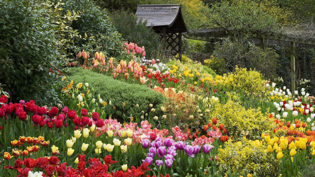 Garden flowers wooden structure fence free wallpaper - medium preview image