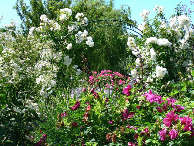 Garden flowers metal arch spring free wallpaper - medium preview image