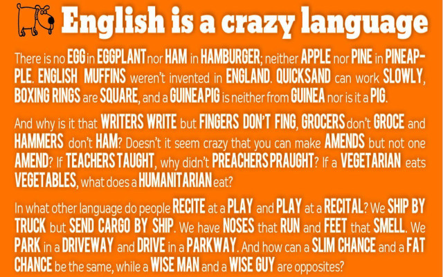 English crazy language orange background free wallpaper - medium preview image