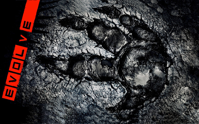 Bear paw print matte forest free wallpaper - medium preview image