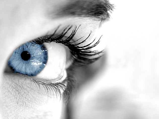Blue eye long lashes black #4 free wallpaper - medium preview image