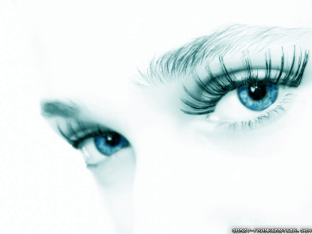 Woman eye long lashes black free wallpaper - medium preview image