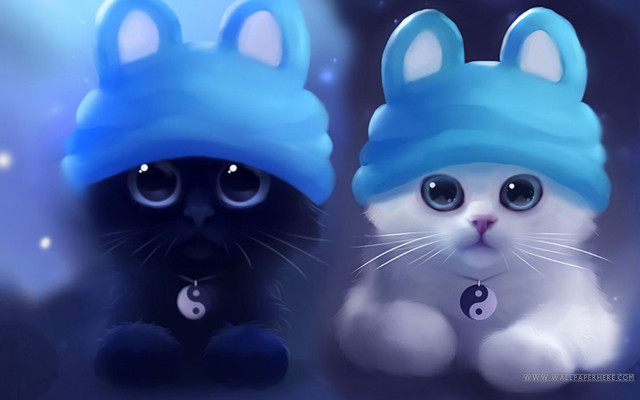 Cats hats sitting dark background free wallpaper - medium preview image