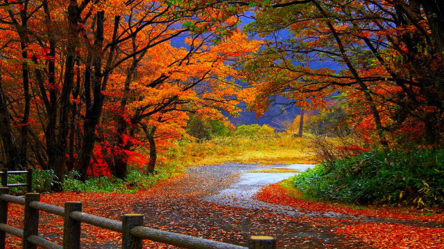 Road fall foliage fence impressionist free wallpaper - medium preview image