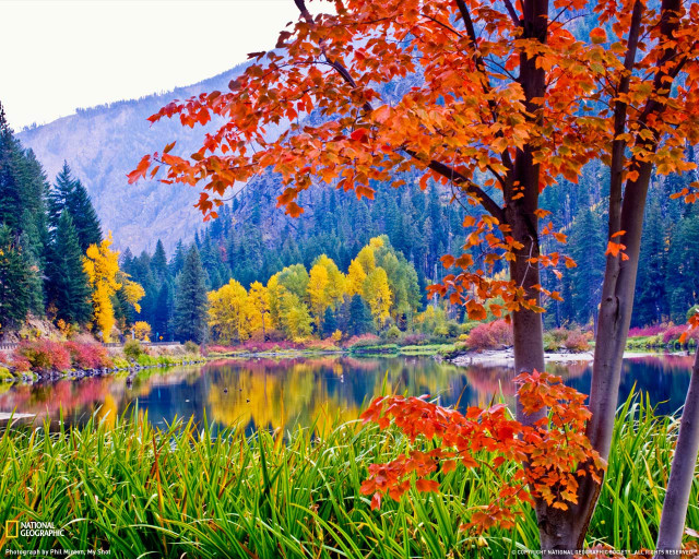 Lake fall colors mountain forest free wallpaper - medium preview image